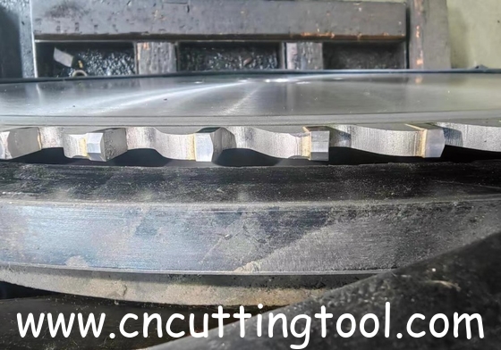Carbide Tips TCT Saw Blade Alloy Steel Body for Precision Cutting