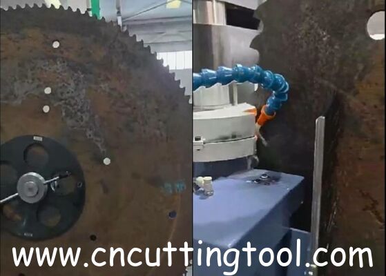 Multi function CNC control saw blade sharpening and grinding machine