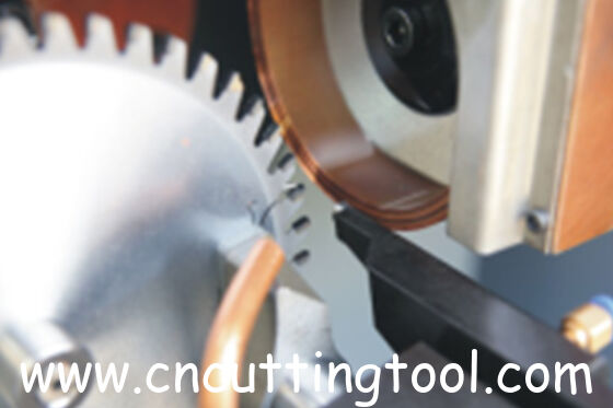 CNC control circular saw blade carbide tips tooth side grinding machine