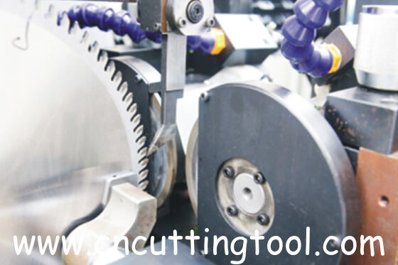 CNC control circular saw blade carbide tips top grinding machine